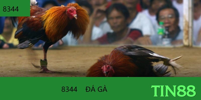 Xổ Số Online - Ưu đãi đặc biệt - 4