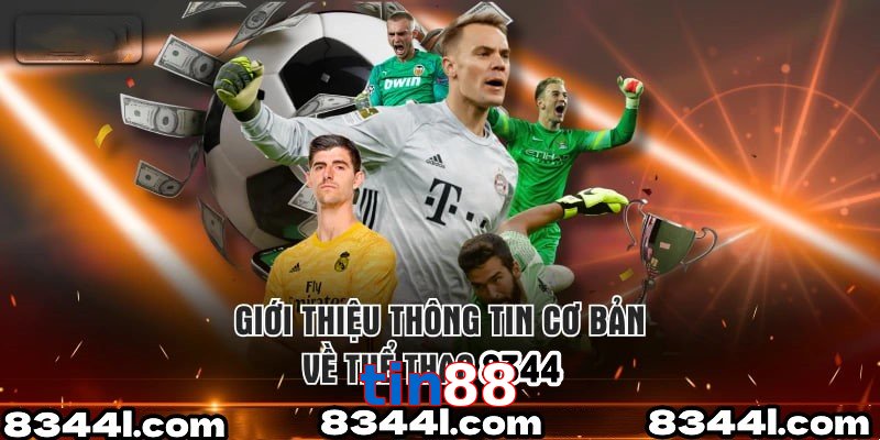 Giới Thiệu Thông Tin Cơ Bản Về Chuyên Mục Thể Thao Tin88