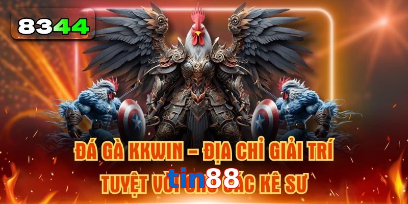Xu Hướng Đá Gà Tin88 Hấp Dẫn Không Thể Bỏ Lỡ