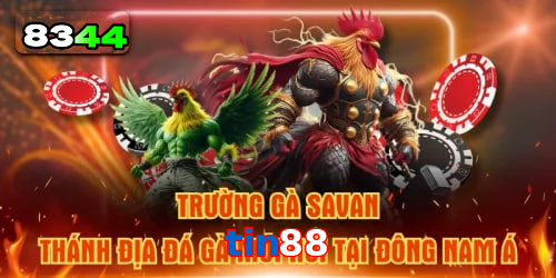 Mơ thấy cá chép – vận may trong học vấn và sự nghiệp